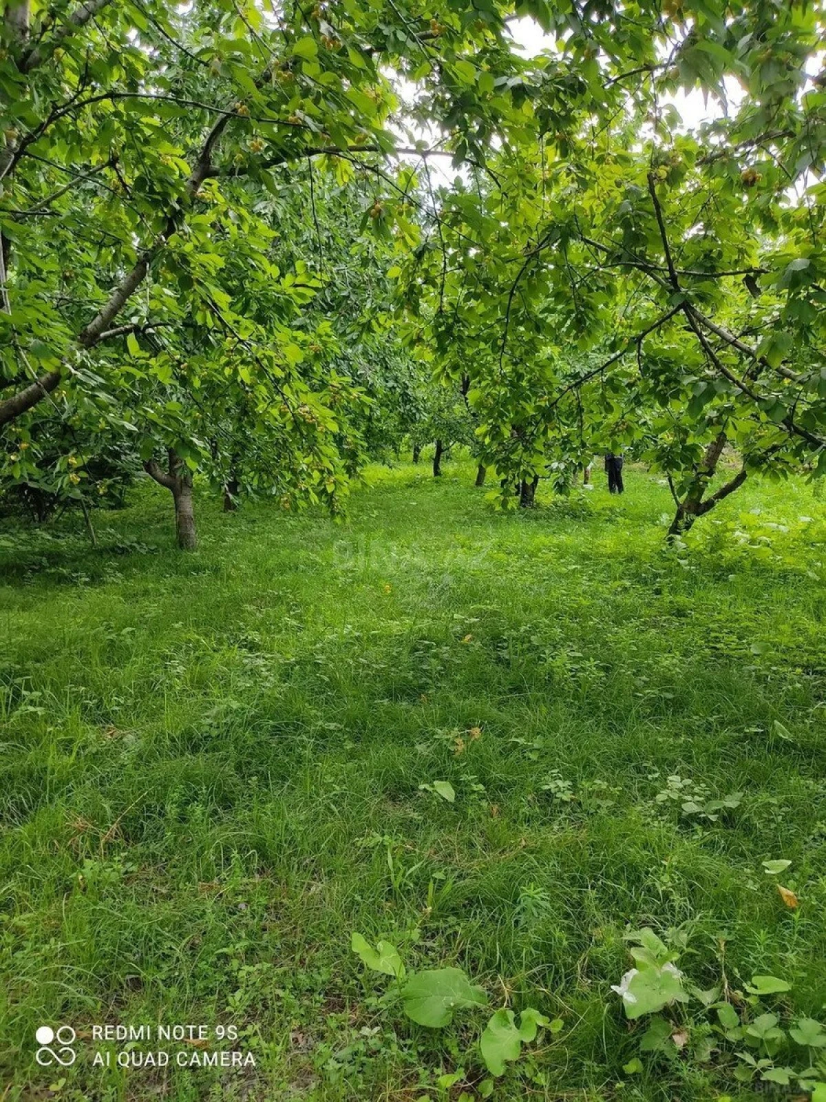 Satılır torpaq sahəsi 12 m²