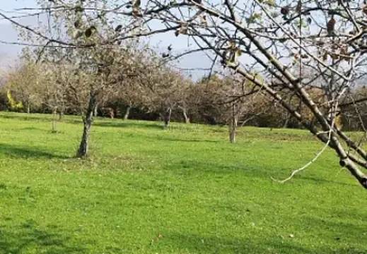 Satılır torpaq sahəsi 12 m² — Qəbələ 12.00 m²