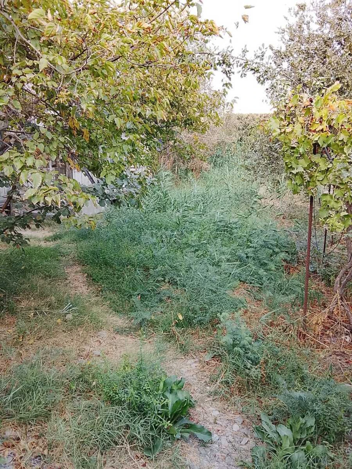 Satılır torpaq sahəsi 8 m²