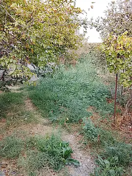 Satılır torpaq sahəsi 8 m²