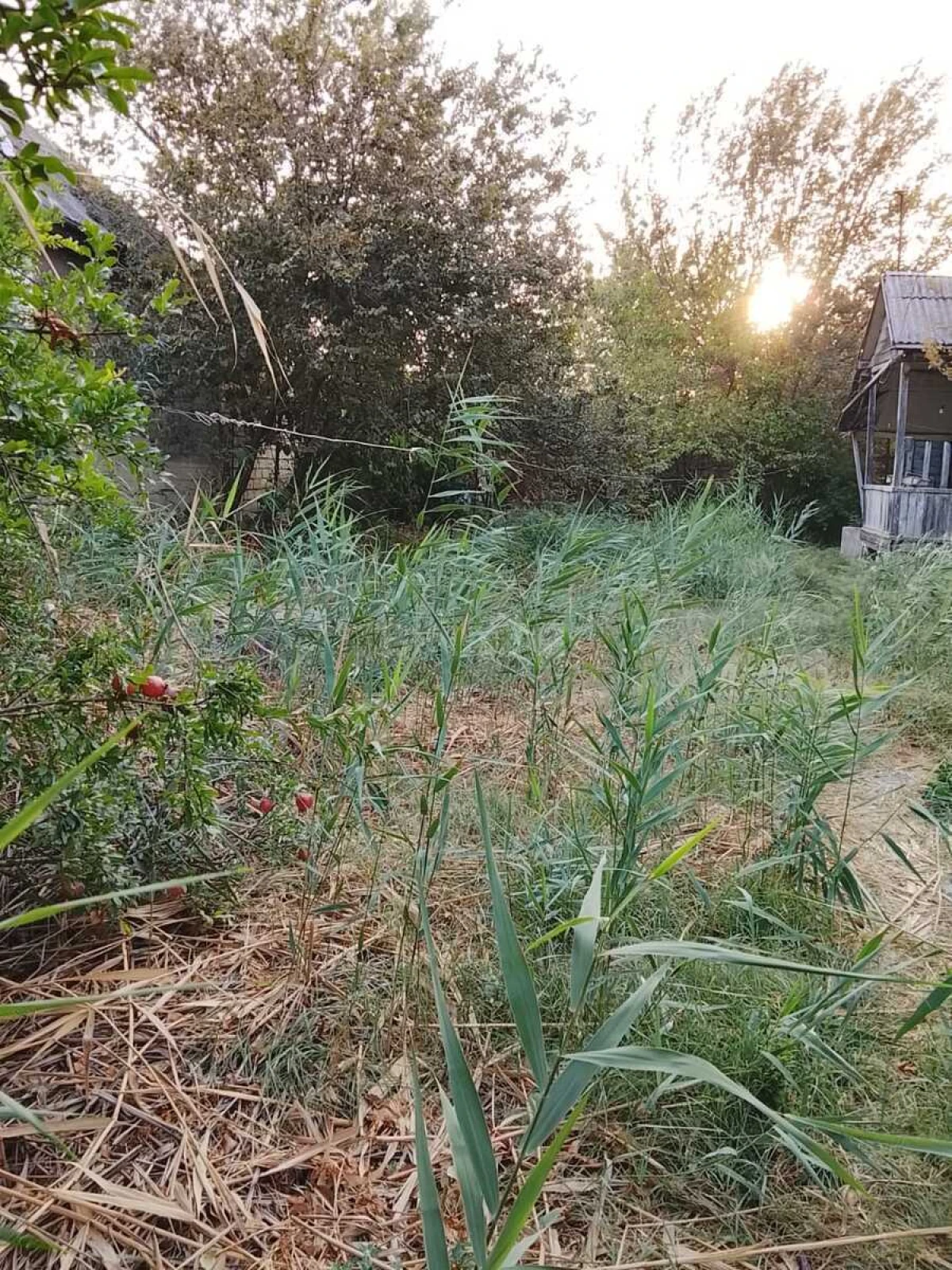 Satılır torpaq sahəsi 8 m²