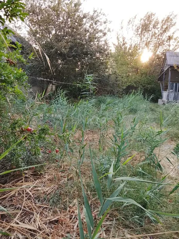 Satılır torpaq sahəsi 8 m²