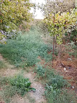 Satılır torpaq sahəsi 8 m²