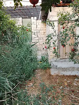 Satılır torpaq sahəsi 8 m²