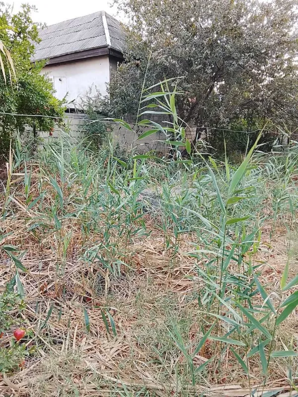 Satılır torpaq sahəsi 8 m²