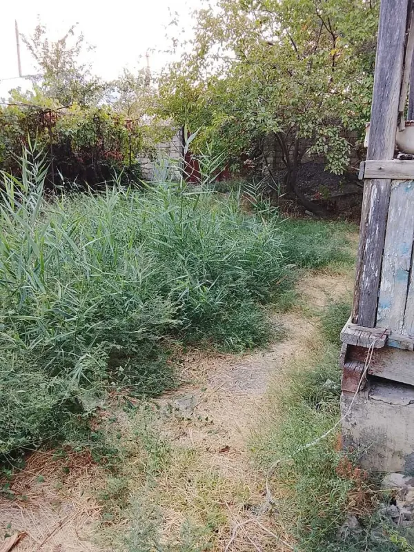 Satılır torpaq sahəsi 8 m²