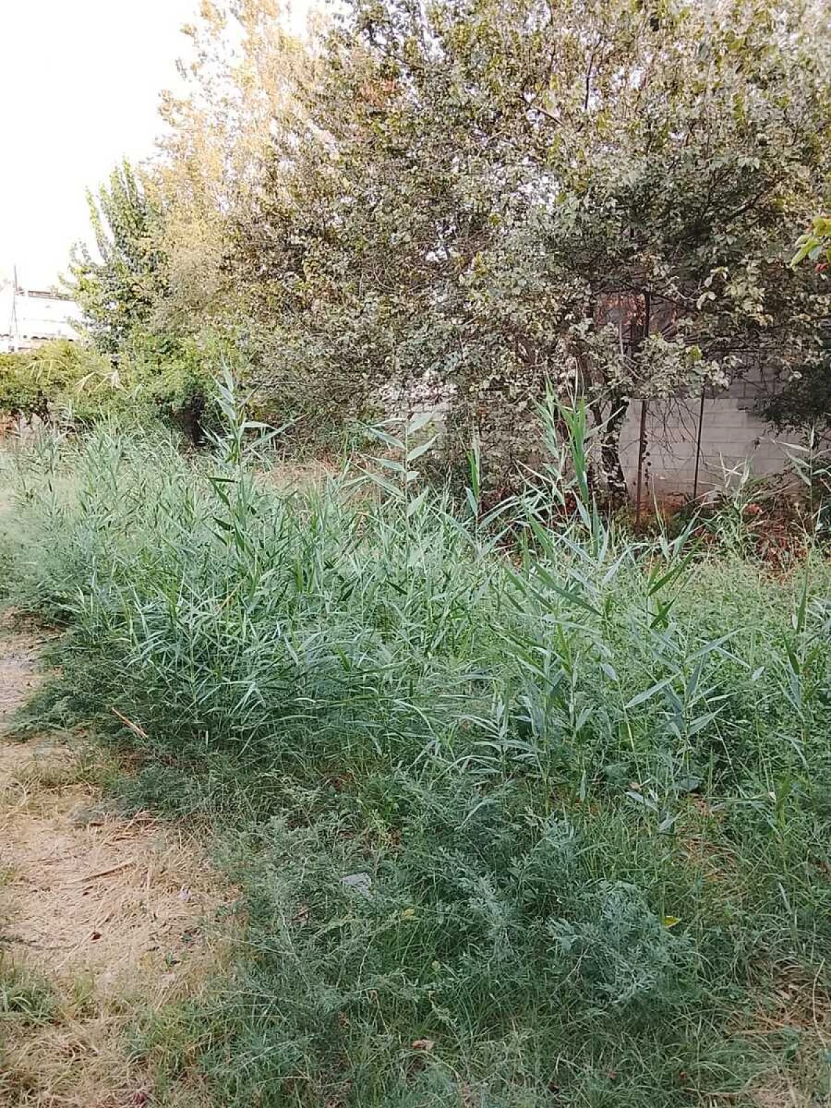 Satılır torpaq sahəsi 8 m²