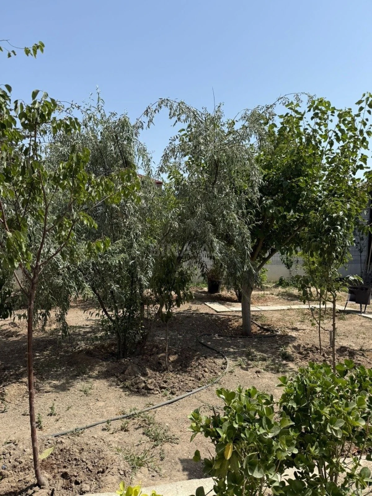 Satılır torpaq sahəsi 11 m²