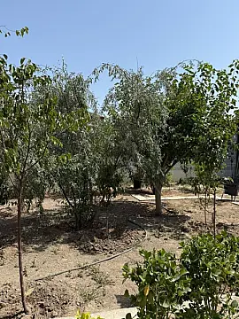 Satılır torpaq sahəsi 11 m²