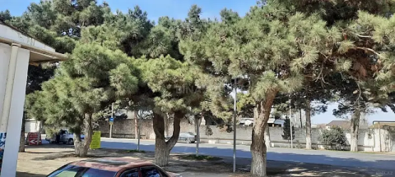 Satılır obyekt 480 m²