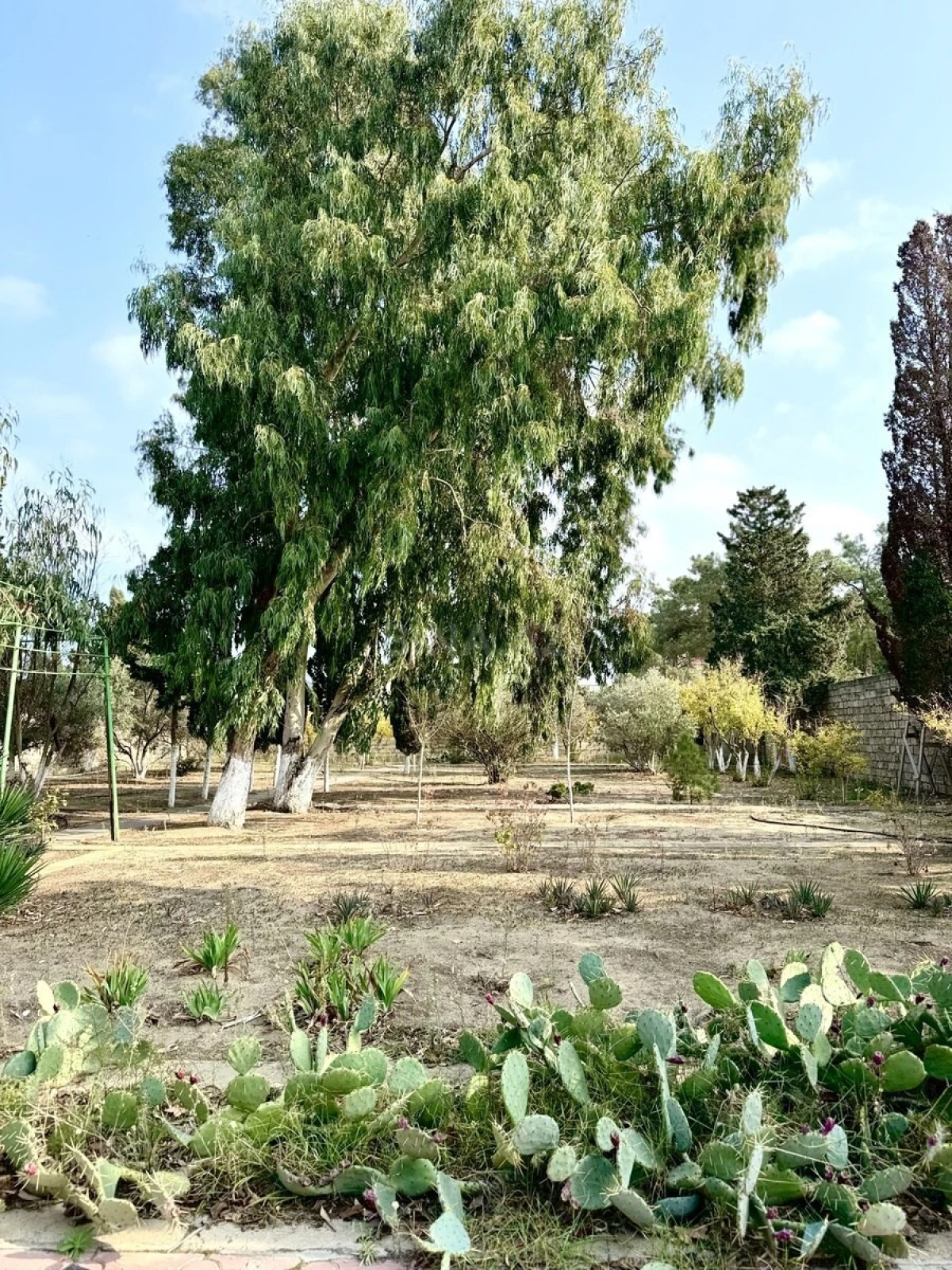 Kirayə verilir 5 otaqlı həyət evi 350 m²