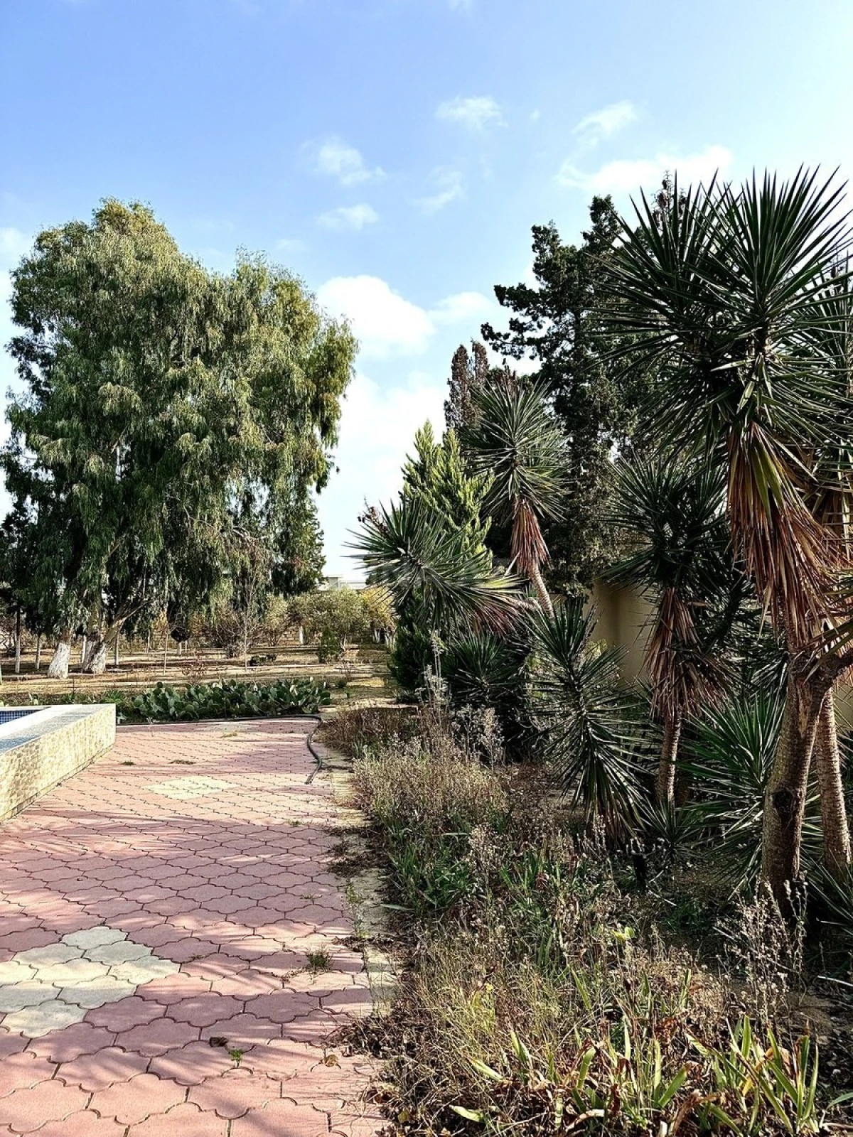 Kirayə verilir 5 otaqlı həyət evi 350 m²