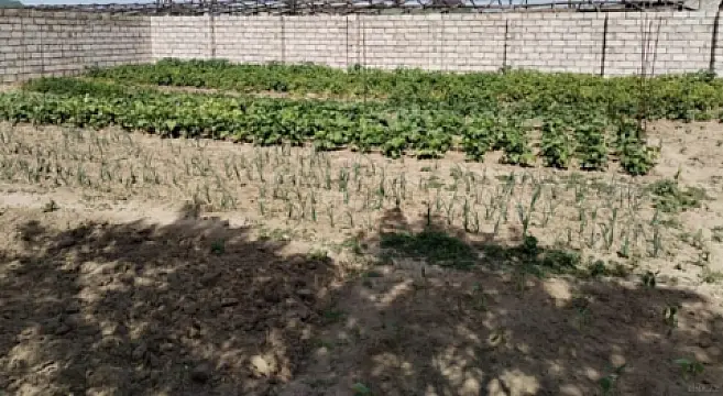 Satılır torpaq sahəsi 2 m²