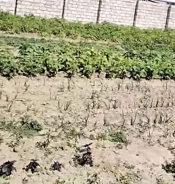 Satılır torpaq sahəsi 2 m² — Bakı, Maştağa 2.00 m²