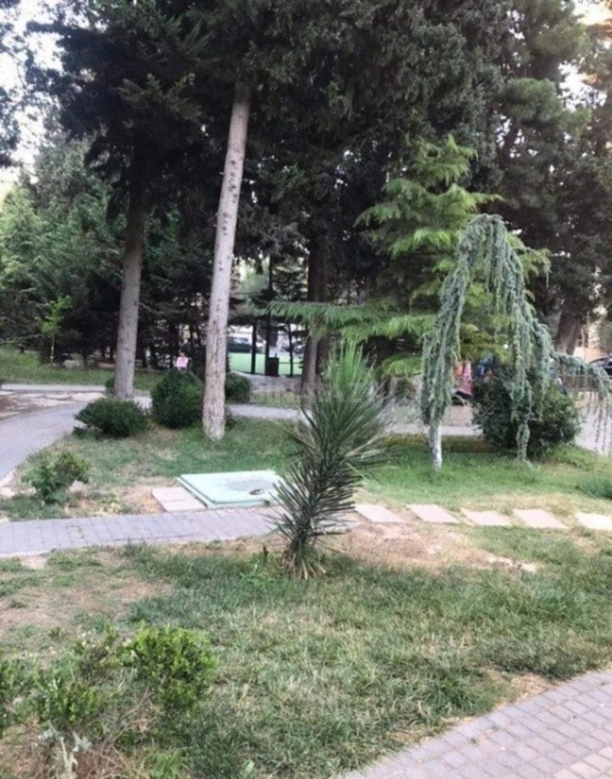 Kirayə verilir 2 otaqlı mənzil 65 m²