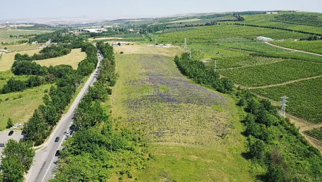 Satılır torpaq sahəsi 280 m² — Şamaxı 280.00 m²