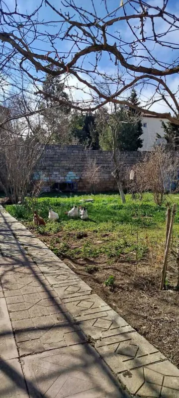 Satılır torpaq sahəsi 6 m²