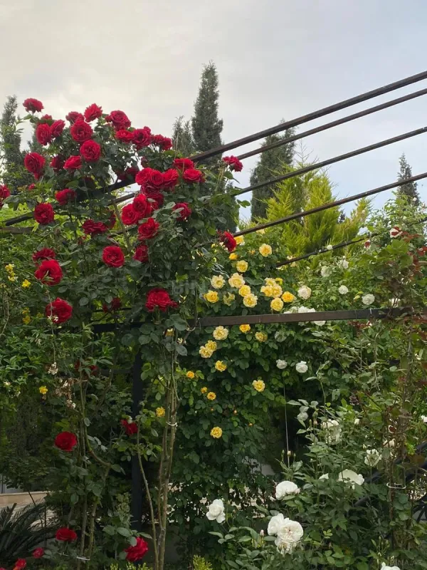 Satılır 6 otaqlı həyət evi 450 m²