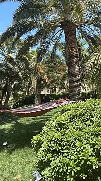 Kirayə verilir 7 otaqlı həyət evi 360 m²