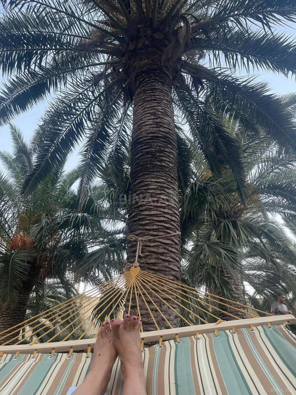 Kirayə verilir 7 otaqlı həyət evi 360 m²