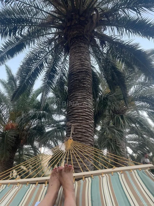 Kirayə verilir 7 otaqlı həyət evi 360 m²