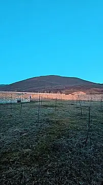 Satılır torpaq sahəsi 12 m² — İsmayıllı 12.00 m²