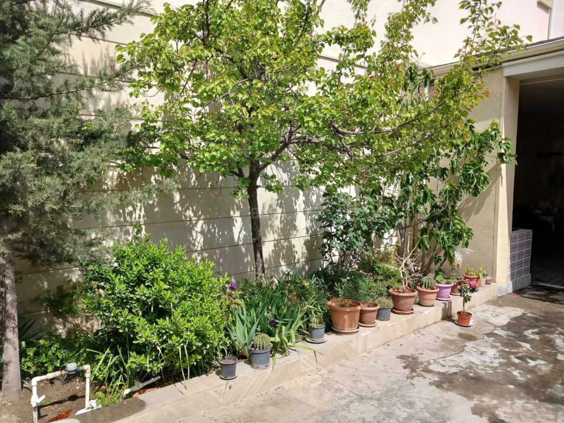Satılır 5 otaqlı həyət evi 300 m²