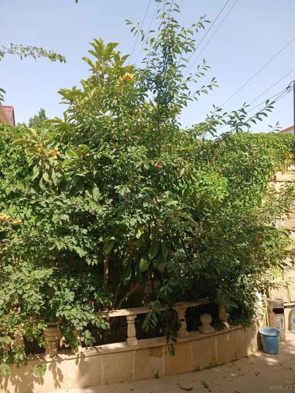 Satılır 4 otaqlı həyət evi 125 m²