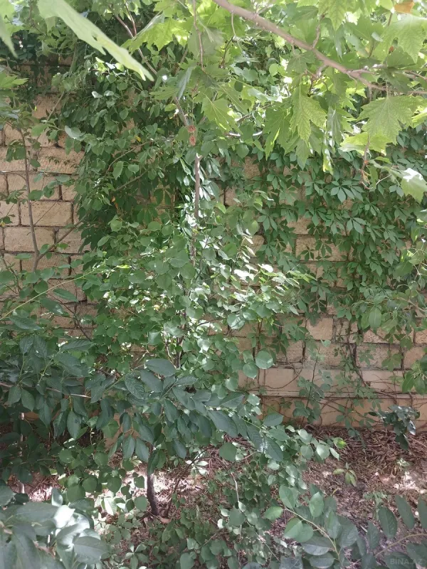 Satılır 4 otaqlı həyət evi 125 m²