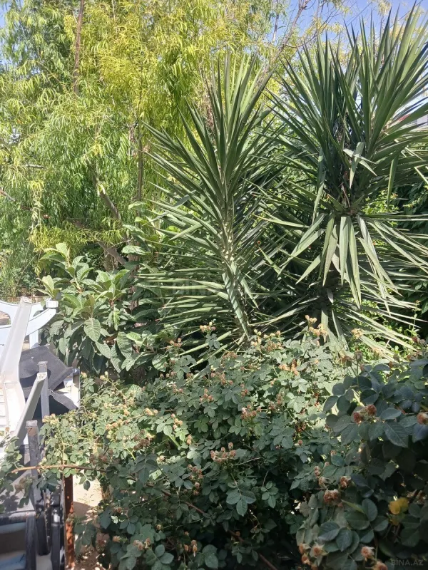 Satılır 4 otaqlı həyət evi 125 m²