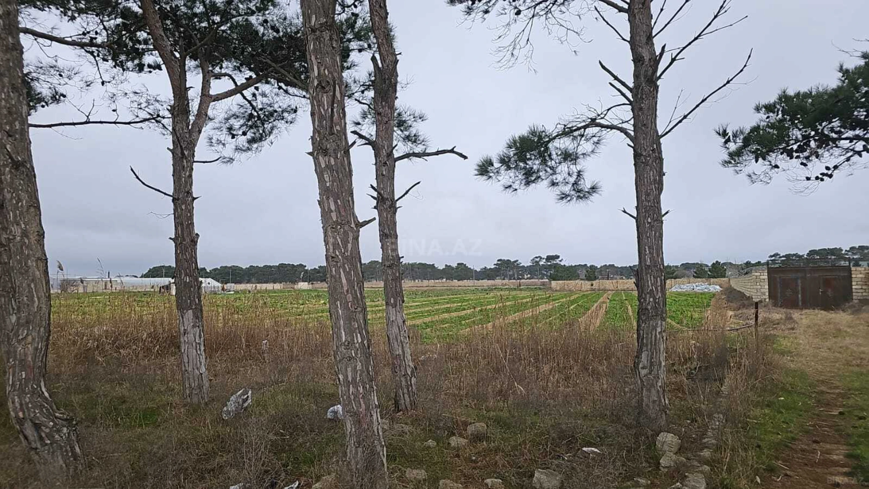 Satılır torpaq sahəsi 130 m²