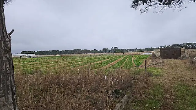 Satılır torpaq sahəsi 130 m²