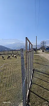 Satılır torpaq sahəsi 7 m²