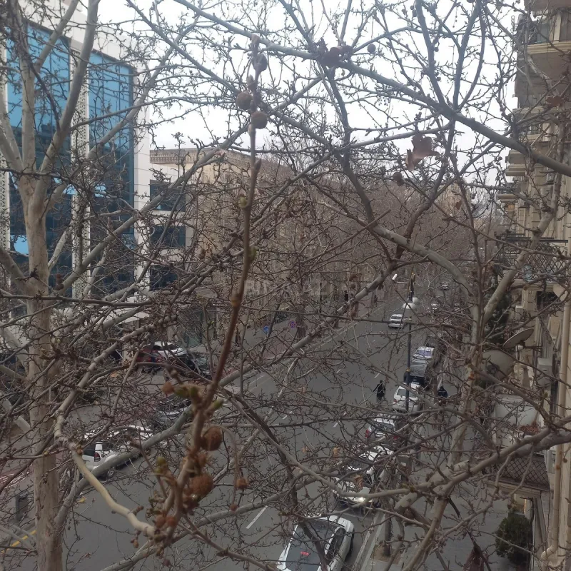 Kirayə verilir 1 otaqlı mənzil 30 m²