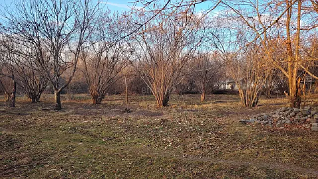 Satılır torpaq sahəsi 16 m² — Qəbələ 16.00 m²