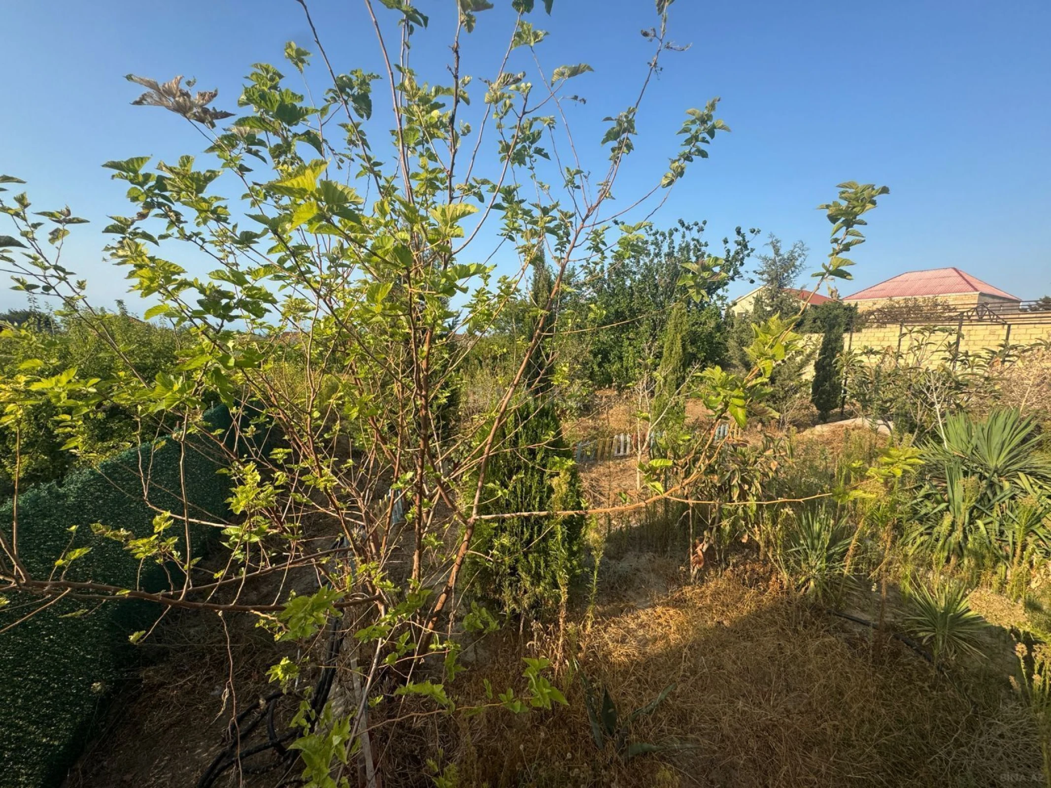 Satılır torpaq sahəsi 10 m²