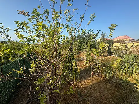 Satılır torpaq sahəsi 10 m²