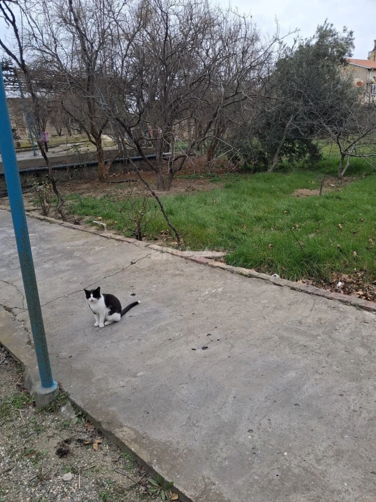 Satılır 5 otaqlı həyət evi 200 m²