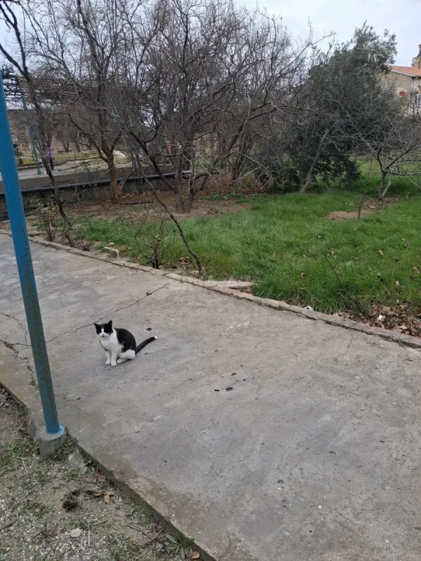 Satılır 5 otaqlı həyət evi 200 m²