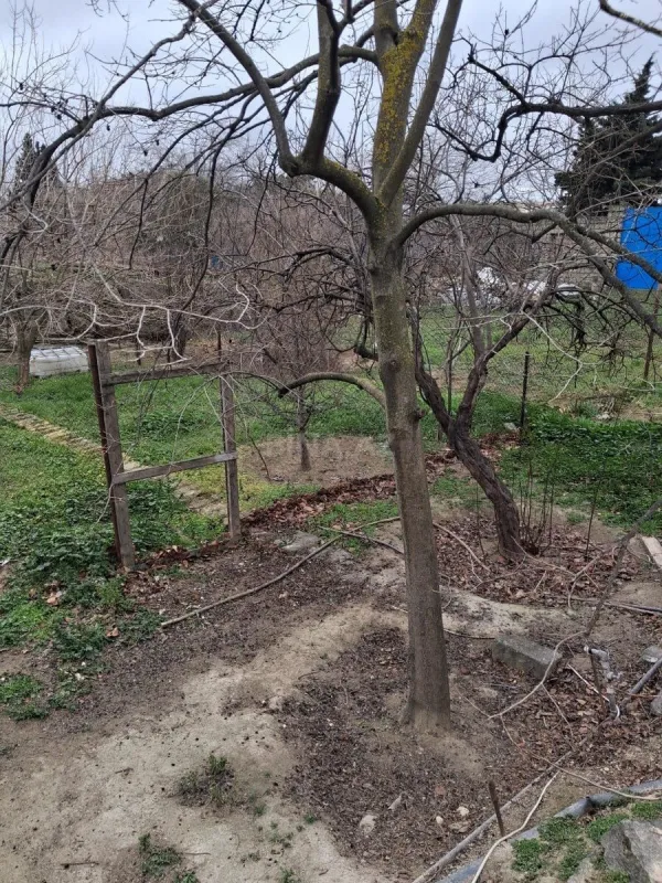 Satılır torpaq sahəsi 10 m²