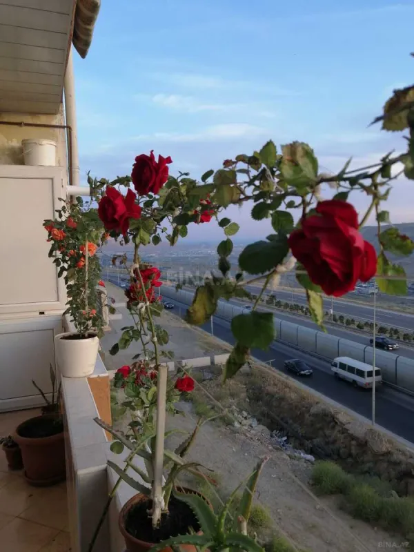 Kirayə verilir 2 otaqlı mənzil 92 m²