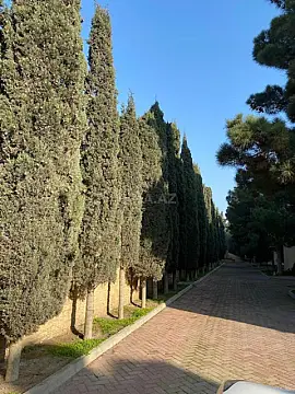 Satılır 10 otaqlı həyət evi 500 m²