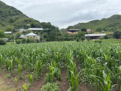 Satılır torpaq sahəsi 25 m² — Tovuz 25.00 m²