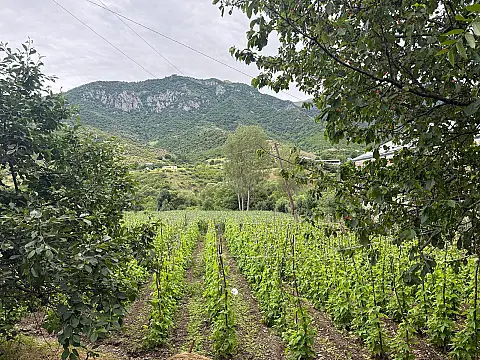 Satılır torpaq sahəsi 25 m²