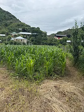 Satılır torpaq sahəsi 25 m²