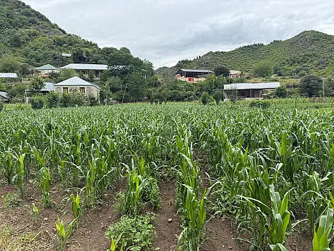 Satılır torpaq sahəsi 25 m²