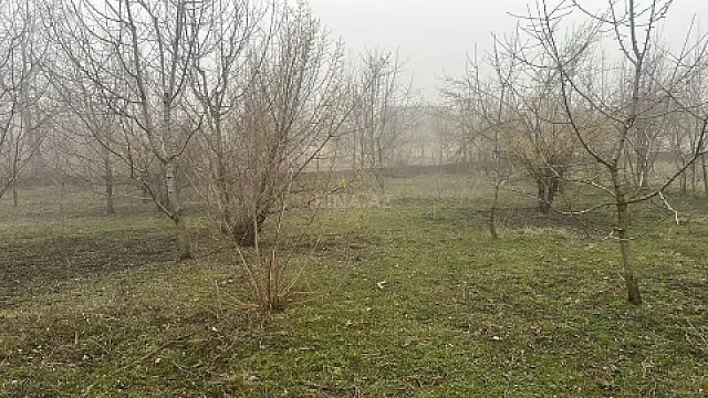 Satılır torpaq sahəsi 15 m² — Quba 15.00 m²
