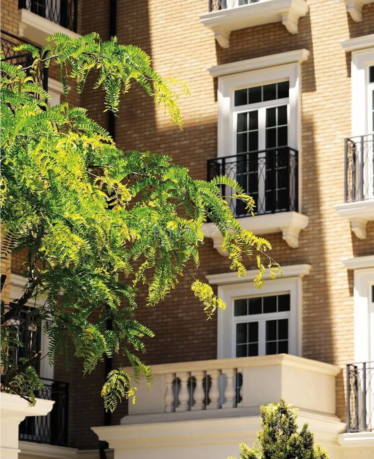 Kirayə verilir 2 otaqlı ofis 52 m²