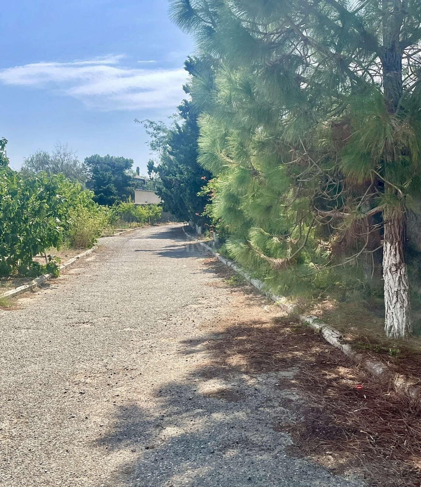 Satılır torpaq sahəsi 45 m²