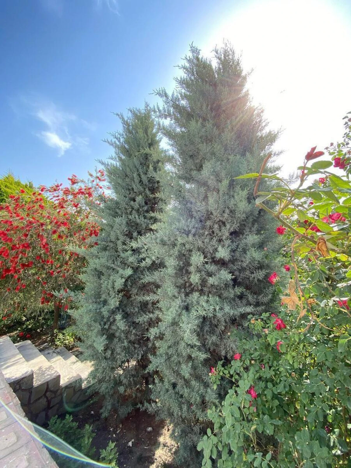 Kirayə verilir 5 otaqlı həyət evi 360 m²